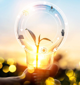 Green Envirocare Private Limited